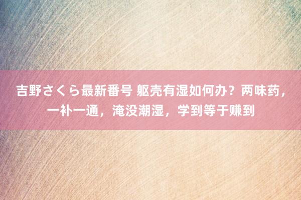 吉野さくら最新番号 躯壳有湿如何办？两味药，一补一通，淹没潮湿，学到等于赚到