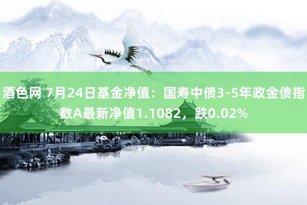 酒色网 7月24日基金净值：国寿中债3-5年政金债指数A最新净值1.1082，跌0.02%