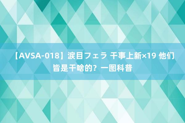 【AVSA-018】涙目フェラ 干事上新×19 他们皆是干啥的？一图科普