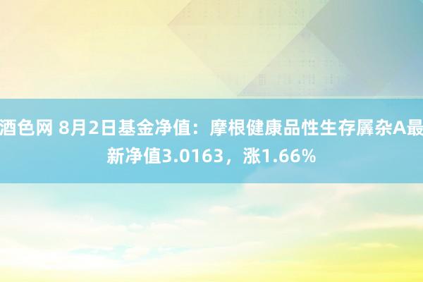 酒色网 8月2日基金净值：摩根健康品性生存羼杂A最新净值3.0163，涨1.66%