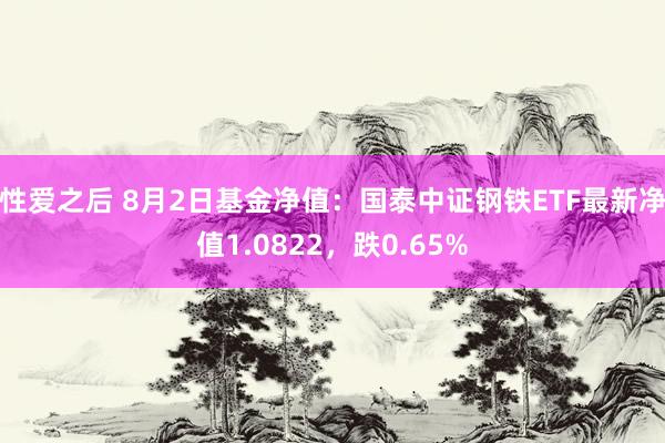 性爱之后 8月2日基金净值：国泰中证钢铁ETF最新净值1.0822，跌0.65%