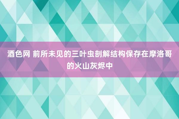 酒色网 前所未见的三叶虫剖解结构保存在摩洛哥的火山灰烬中