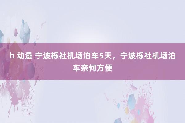 h 动漫 宁波栎社机场泊车5天，宁波栎社机场泊车奈何方便