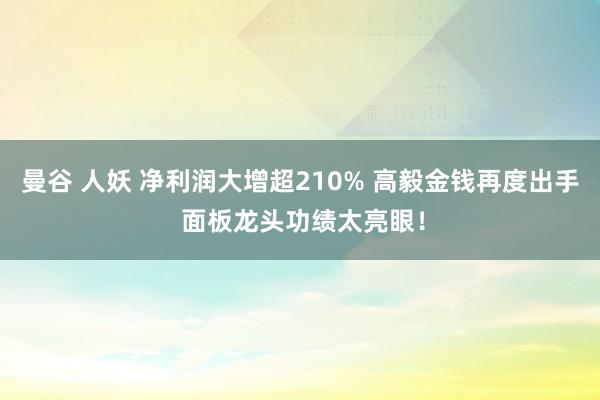 曼谷 人妖 净利润大增超210% 高毅金钱再度出手 面板龙头功绩太亮眼！