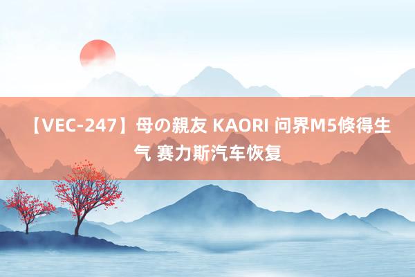 【VEC-247】母の親友 KAORI 问界M5倏得生气 赛力斯汽车恢复