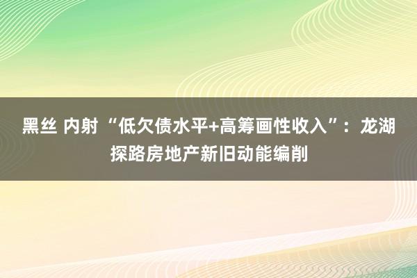 黑丝 内射 “低欠债水平+高筹画性收入”：龙湖探路房地产新旧动能编削