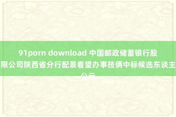 91porn download 中国邮政储蓄银行股份有限公司陕西省分行配景看望办事技俩中标候选东谈主公示