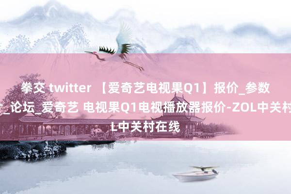 拳交 twitter 【爱奇艺电视果Q1】报价_参数_图片_论坛_爱奇艺 电视果Q1电视播放器报价-ZOL中关村在线